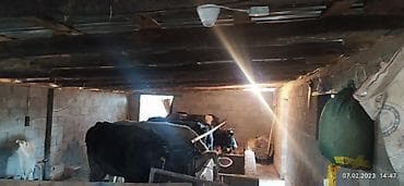 iphone s5: Системы видеонаблюдения, Домофоны | Офисы, Квартиры, Дома | Демонтаж, Настройка, Подключение — 6