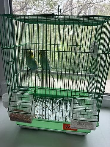 Клетка для волнистых попугаев с комплектом аксессуаров. - Материал