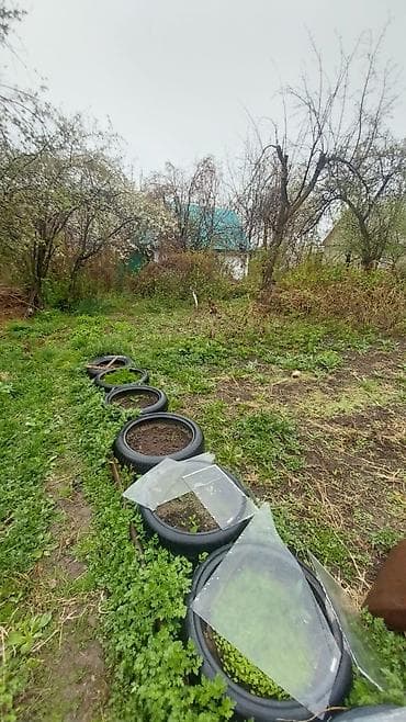 дома сосновка: Срочно продаю ДАЧУ!, с.АРАШАН, УЧАСТОК 5 СОТОК, СВЕТ, ВОДА ЕСТЬ, 3х — 2