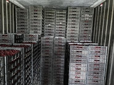 перила нержавейка цена: ❄️ Замороженная вишня урожая 2026 года Предлагаем замороженную вишню — 4