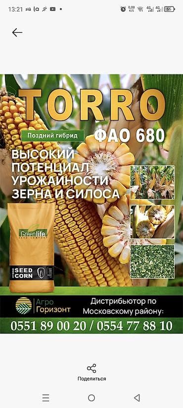 Осталось около 20 мешков Кукуруза гибрид TORRO (ФАО 680) - Тип