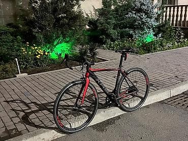 Спорт жана хобби: Шоссе велосипеди, Specialized, Велосипед алкагы L (172 - 185 см), Колдонулган — 1