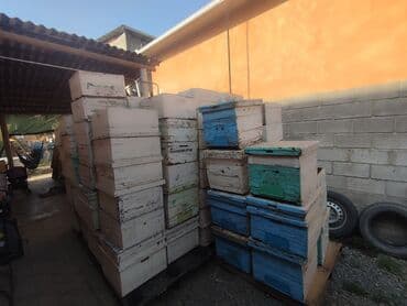 дом для кроликов: Пчелиные ульи из дерева, около 45 комплектов предназначенные для — 2