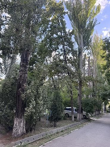 4ком кв: 2 комнаты, 48 м², Молодая Гвардия Индивидуалка, 4 этаж, Дизайнерский ремонт — 4
