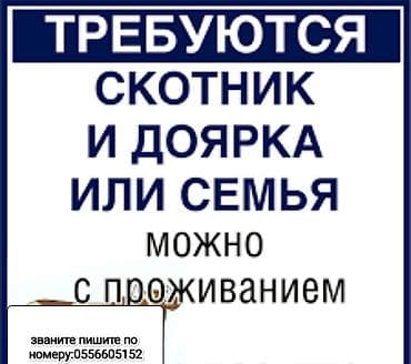 Талап кылынат Малчы, Төлөм: Ай сайын, Тамактануу — 1