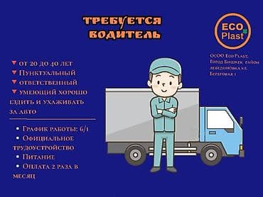 Полный рабочий день, Шестидневка, Официальное трудоустройство, Мужчина