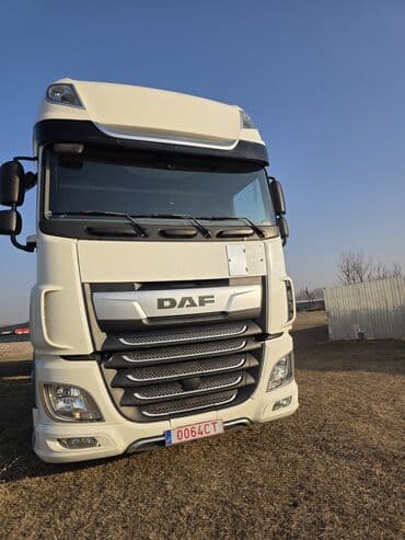 Тягач, DAF, 2019 г., Холодильник, рефрижератор