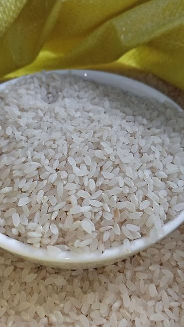 поставщики куриного мяса: Аланга высший сорт без размешка оптом по 100 сом. а также есть — 3