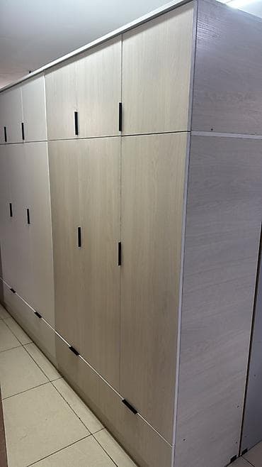 биндеры fellowes с пластиковым корпусом: Шифоньер, шкаф для одежды, Новый, Прямой, ЛДСП — 4