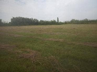 кыймылсыз мүлк: 50 соток, Курулуш, Кызыл китеп — 1