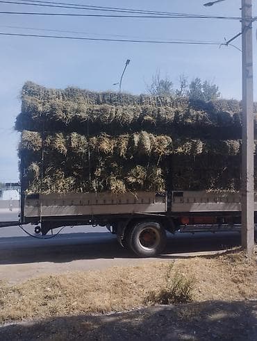 живой корм: Продаю Сено клевер чистый 1 курс тюки не маленькие в наличии 520 шт — 2