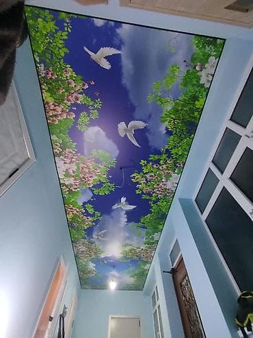 Натяжной потолок Матовое, 3D потолки, Глянцевое Демонтаж, Бесплатный замер, Гарантия