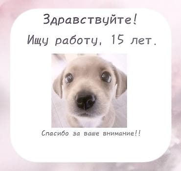 Ищу работу - Студент, Без опыта, Неполный рабочий день