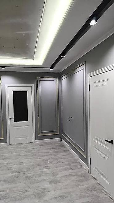 straydogs kg: Больше 6 лет опыта — 1