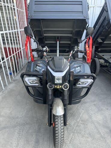 кофры для мотоцикла: Легкий грузовик — 3