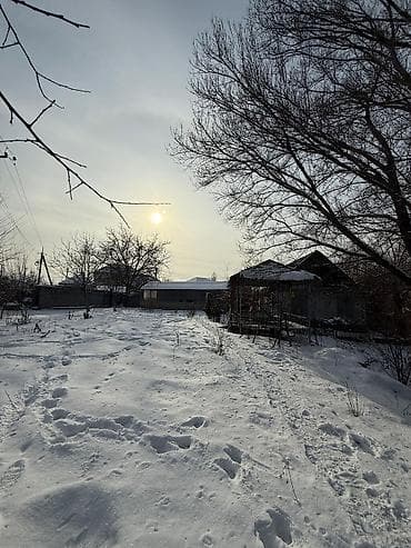 кара чыгач: 23 соток, Бизнес үчүн, Кызыл китеп, Техпаспорт, Сатып алуу-сатуу келишими — 7