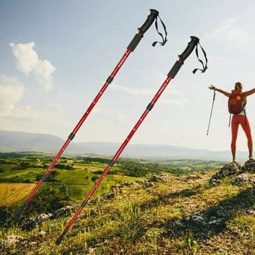 прокат сноубордов бишкек: Скандинавские палки в аренду треккинговые палки на прокат палочки для — 1