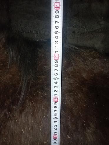 кон: Продаю | Жеребец | Полукровка | Конный спорт | Племенные — 3