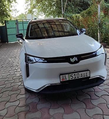 Weltmeister: Weltmeister W6, 2021 г., Бар — 1