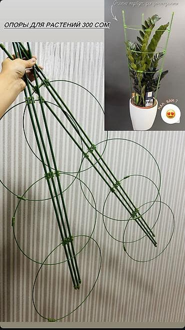Үй жана бакча: Опоры для комнатных растений - Зеленые каркасные стойки с круглыми — 1