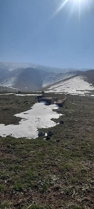 чуйская: 20 соток, Для сельского хозяйства, Красная книга — 10