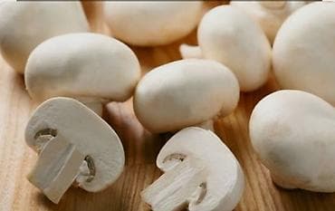 тачки тележки: Шампиньоны культивированные (Agaricus bisporus) - Выращены в — 5