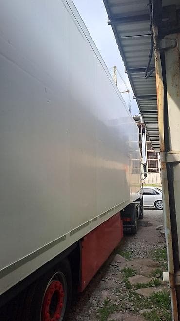 xf: Тягач, DAF, 2008 г., Холодильник, рефрижератор — 10