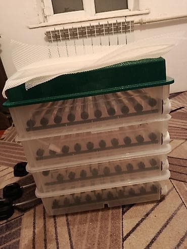 Готовый бизнес: Полностью автоматический инкубатор для яиц с цифровым управлением — 5