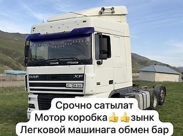 Тягач, DAF, 2005 г.