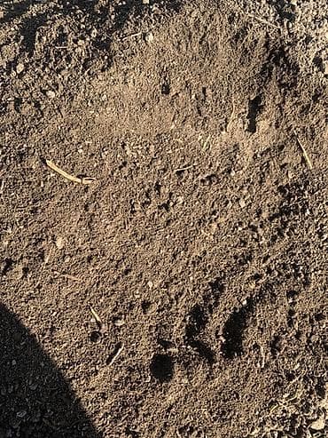 Плодородный грунт (чернозём/почвосмесь для огорода и газона)