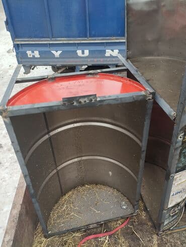 отдам животных в хорошие руки: Акур койлорго суу акыр — 6