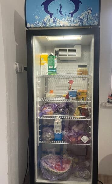 промышленные холодильники для хранения овощей и фруктов: Б/у, В наличии — 1