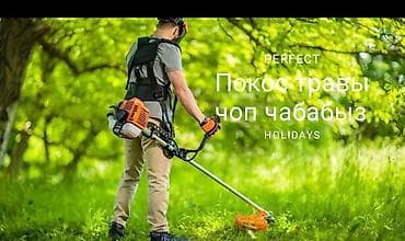 Уборка территории: Уборка территории, Уход за деревьями, Мойка фасада, Чистка брусчатки — 7