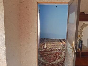 агенство ош: Отун — 5