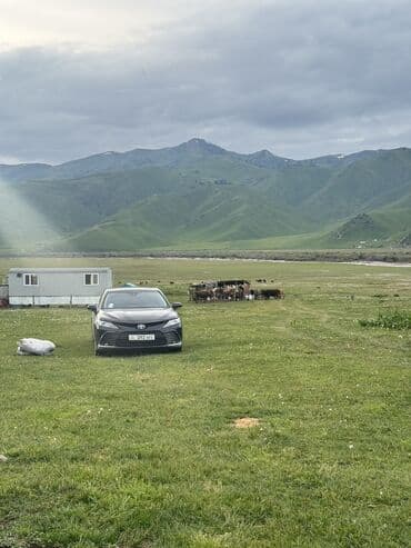 highlander 2012: Toyota Camry: 2021 г., 2.5 л, Типтроник, Гибрид, Седан — 1