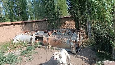 Шнековый транспортер (шнек, винтовой конвейер) крупного размера. жатка