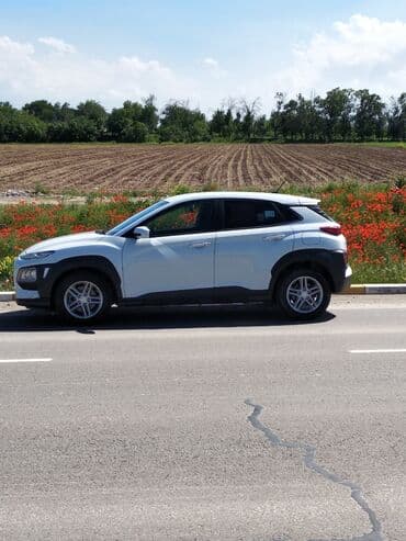 Hyundai: Hyundai Kona: 2019 г., 1.6 л, Автомат, Бензин, Хэтчбэк — 6