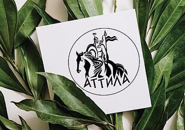 вышивка логотипа: Графический дизайнер с опытом работы более 10 ти лет! Все для — 4