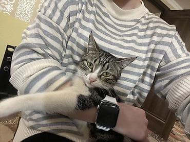 продаю кошара: Кошка даром: Беспородная, 7 месяцев, Девочка, Приучена к лотку — 2