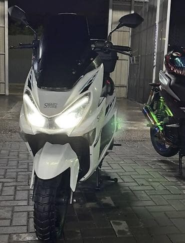 can bus: Скутер/максискутер 150–250 см³ класса City Touring. - Кузов: белый с — 5