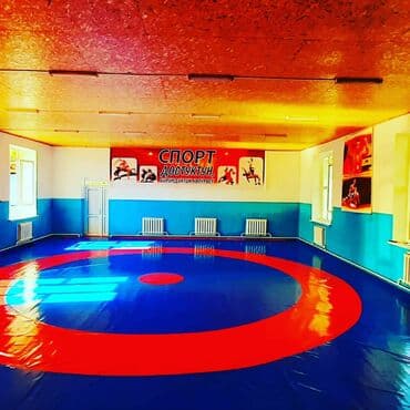 купить боксерскую грушу для дома: Боксёрский Мишок Груша Борсовский мата Ковёр покрито Олимпийский — 3