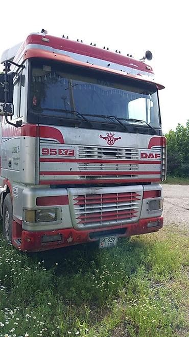 бдф кузов: Тягач, DAF, Тентованный — 3