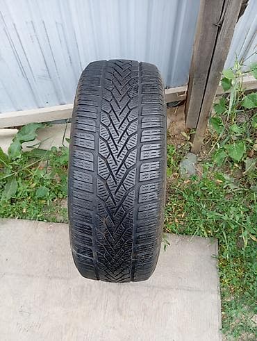 9 0016: Шины 205 / 60 / R 16, Всесезонная, Б/у, 1 шт, Легковые, Польша, DUNLOP — 1