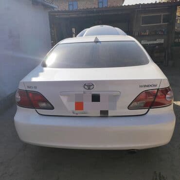 на виндом: Без выезда — 2