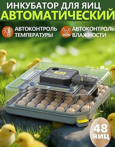 Оборудование для производства: Инкубатор для яиц WONEGG на 48 яиц - Вместимость: до 48 — 1