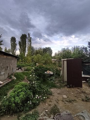 nice house: 📍 В селе Савхоз-Фрунзе продается дом на участке 12 соток. 🏡Дом — 3