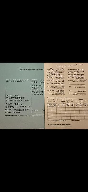 осеменение коров: Продаю | Бык (самец) | Симментальская | Для разведения | Племенные — 4