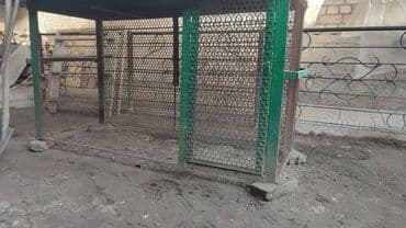 псп бишкек: Башка тиричилик техникасы — 1