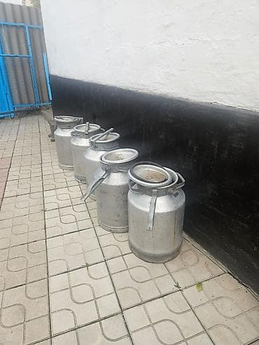 Канистра