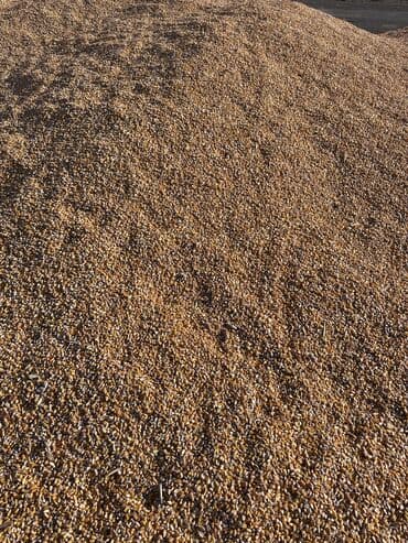 Кукуруза рушенная 30 тонн 
По 22 сома 
Свмовывоз